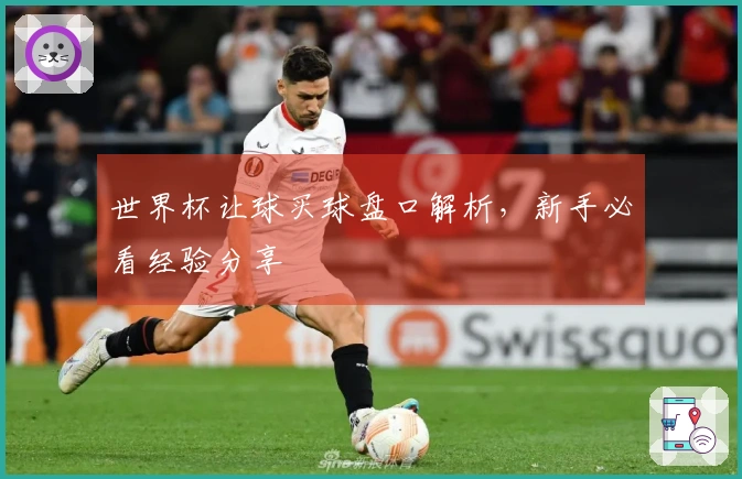 世界杯让球买球盘口解析，新手必看经验分享
