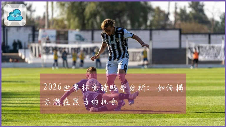 2026世界杯竞猜赔率分析：如何揭示潜在黑马的机会