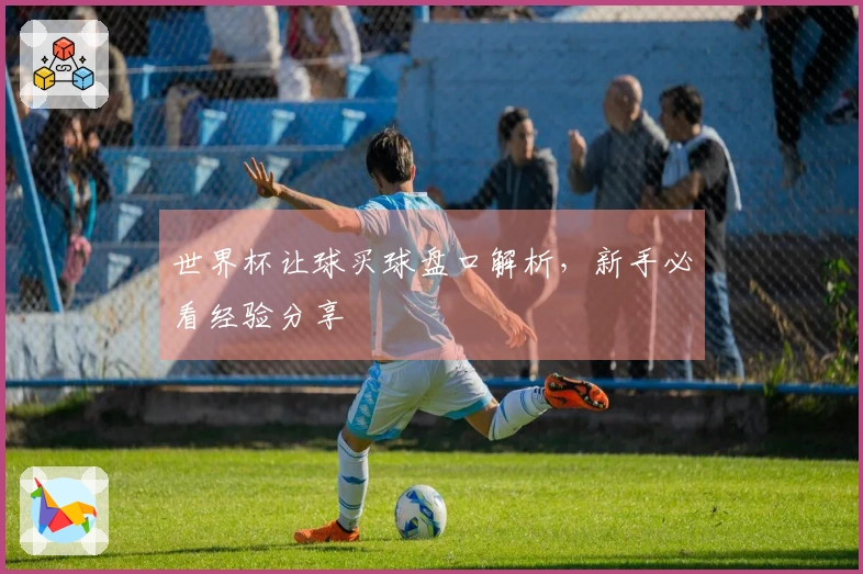 世界杯让球买球盘口解析，新手必看经验分享