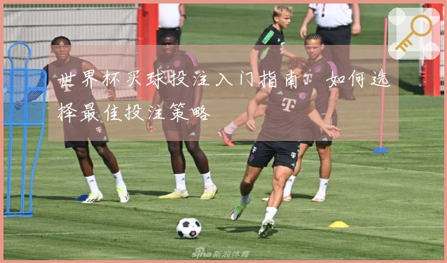 世界杯买球投注入门指南：如何选择最佳投注策略
