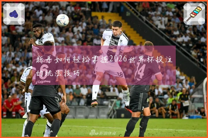 新手如何轻松掌握2026世界杯投注的玩法技巧